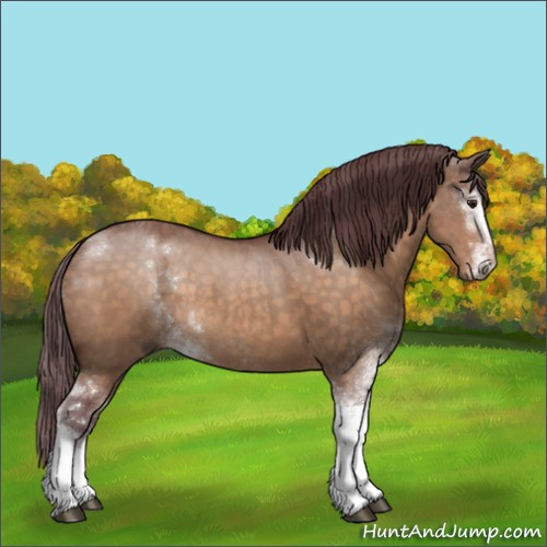 Horse Color:Chocolate Brown Dun Sabino 