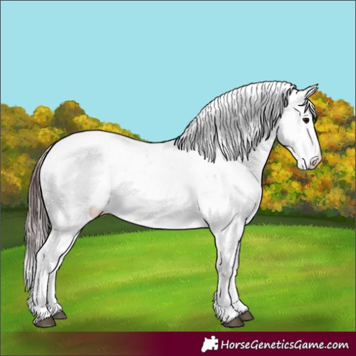 Horse Color:Chocolate Brown Dun Sabino