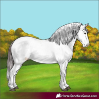 Horse Color:Chocolate Brown Dun Sabino