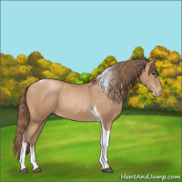 Horse Color:Black Pearl Tobiano 