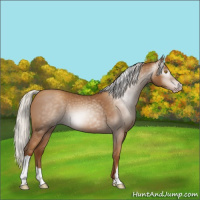 Horse Color:Gray Silver Classic Champagne 