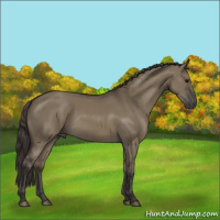 Horse Color:Smoky Grullo 