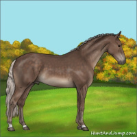 Horse Color:Silver Black 
