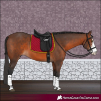 Horse Color:Brown Sabino