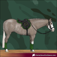 Horse Color:Silver Grullo Sabino Rabicano 