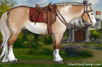 Horse Color:Gray White Spotted Silver Bay Dun Splash