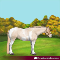 Horse Color:Red Roan Pearl Tobiano Frame