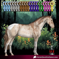 Horse Color:Grullo Pearl Tobiano Brindle 