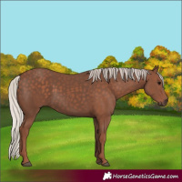 Horse Color:Silver Black 