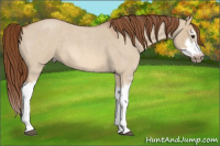 Horse Color:Red Dun Roan Splash Frame Rabicano 