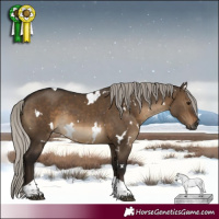 Horse Color:Gray White Spotted Silver Bay Dun Tobiano Rabicano