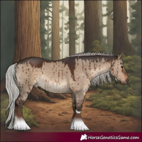 Horse Color:Silver Brown Dun Tobiano Rabicano Brindle 