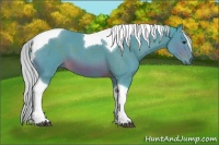 Horse Color:Watercolor Silver Brown Tobiano 