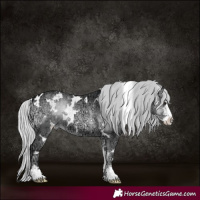Horse Color:White Spotted Silver Blue Onyx Chinchilla Ice Sabino