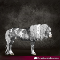 Horse Color:White Spotted Silver Blue Onyx Chinchilla Ice Sabino 
