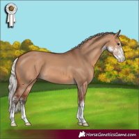 Horse Color:Silver Brown Dun Sabino 