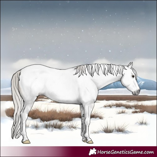 Horse Color:Gray Silver Brown Dun Sabino Tobiano Snowcap Brindle