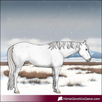 Horse Color:Gray Silver Brown Dun Sabino Tobiano Snowcap Brindle 