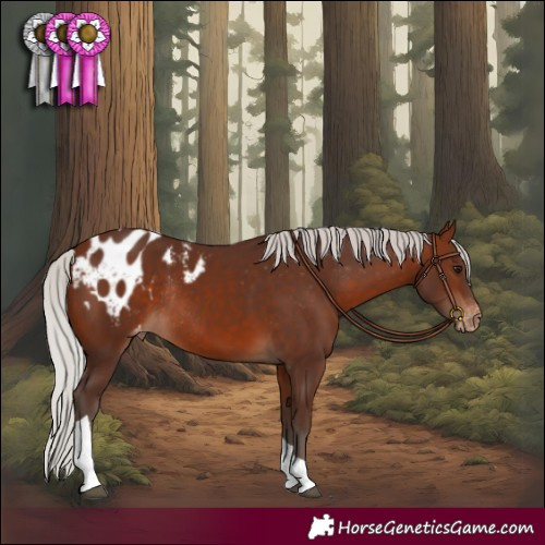 Horse Color:Silver Brown Tobiano Blanket Rabicano 