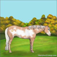Horse Color:Silver Amber Champagne Frame 