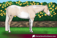 Horse Color:Silver Grullo Roan Pearl Tobiano Frame 