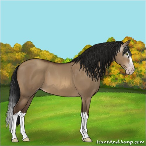 Horse Color:Gray Sable Champagne Dun Sabino Splash