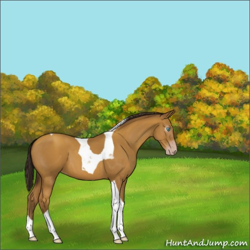 Horse Color:Gray Amber Cream Champagne Tobiano 