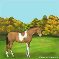 Horse Color:Gray Amber Cream Champagne Tobiano 