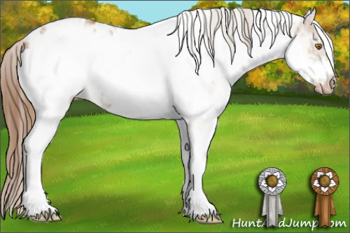 Horse Color:White Spotted Bay Pearl Frame Appaloosa Rabicano 