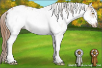 Horse Color:White Spotted Bay Pearl Frame Appaloosa Rabicano 