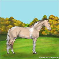 Horse Color:Silver Bay Dun Sabino Tobiano Frame Rabicano 