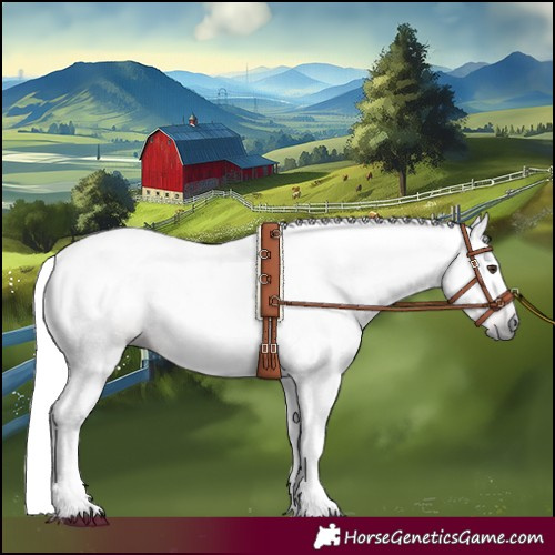 Horse Color:Gray Red Dun Rabicano 