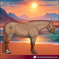 Horse Color:Red Dun Rabicano 