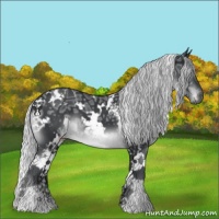 Horse Color:White Spotted Silver Black Chinchilla Ice