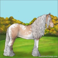 Horse Color:Chocolate Silver Sable Champagne Tobiano Rabicano 