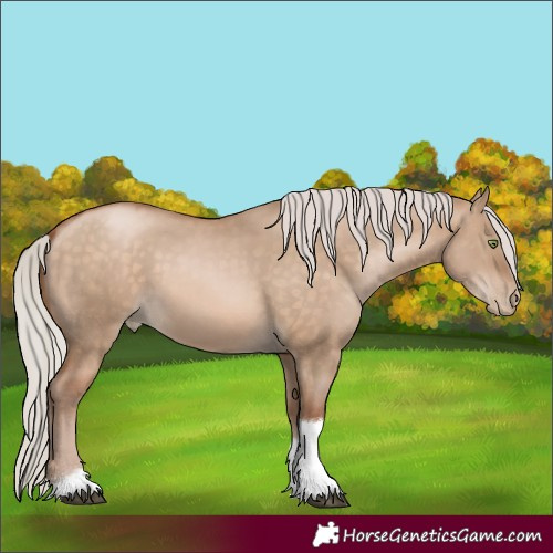 Horse Color:Silver Brown Pearl Dun Sabino Tobiano Rabicano