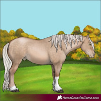 Horse Color:Silver Brown Pearl Dun Sabino Tobiano Rabicano