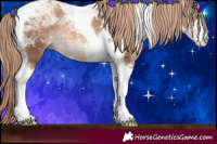 Horse Color:Liver Chestnut Pearl Sabino Tobiano
