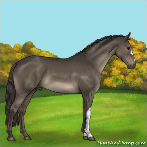 Horse Color:Smoky Grullo 