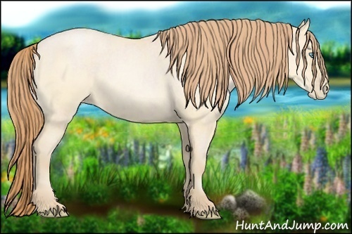 Horse Color:Buckskin Roan Pearl Rabicano  and Buckskin Roan Pearl Dun Rabicano 