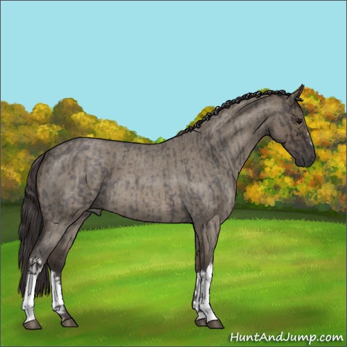 Horse Color:Smoky Blue Roan and Smoky Grullo Roan