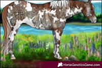 Horse Color:White Spotted Blue Onyx Ice Pearl 