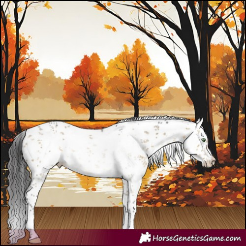 Horse Color:White Spotted Buckskin Dun Sabino 