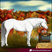 Horse Color:Buckskin Dun Sabino 