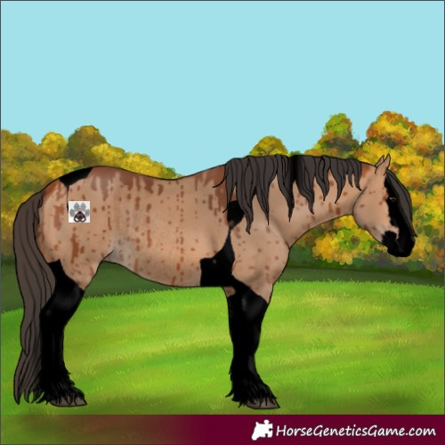Horse Color:Void Bay Dun Splash Tobiano Rabicano Brindle 