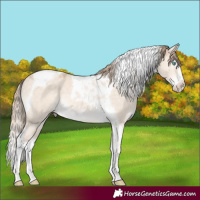 Horse Color:Perlino Dun Mushroom Splash Tobiano 