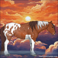 Horse Color:Chocolate Bay Tobiano Appaloosa 