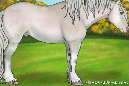 Horse Color:Watercolor Silver Sable Champagne Onyx Sabino Rabicano 