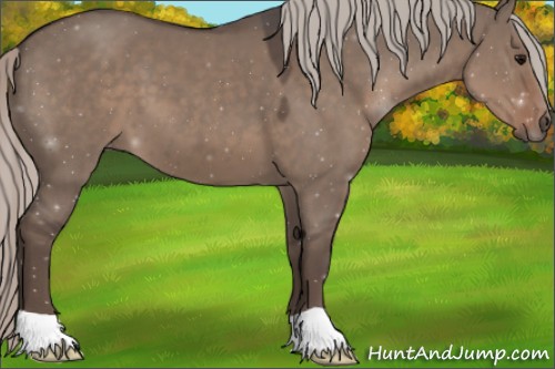 Horse Color:Silver Grullo 