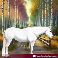 Horse Color:Grullo Blanket